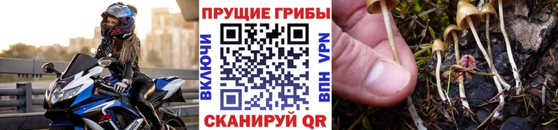 Купить закладки  Слободской  Галлюциногенные грибы Psilocybine cubensis 